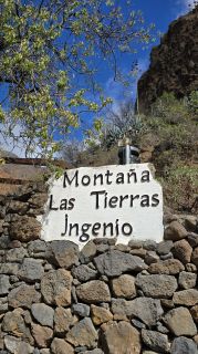 2024-11-GranCan-Guayadeque-053.jpg